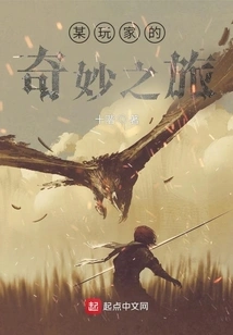 A Player's Wonderful Journey