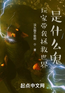 What the Hell is a Player Taking Me to Save the World?