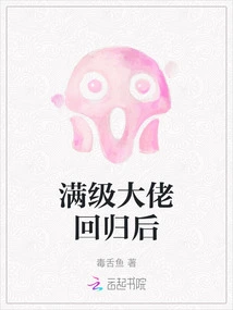 After the Return of the Max-level Boss