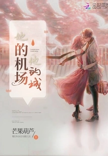 Her Airport His City