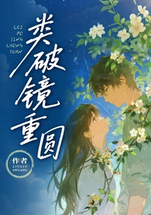 Similar to a Broken Mirror and a Reunion