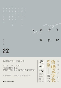 Xiaotian's Poem 6: Only the Pure Energy Fills the Universe