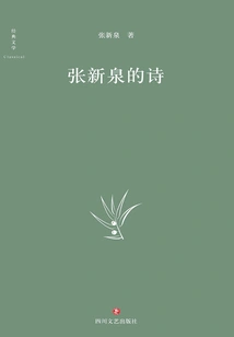 Zhang Xinquan's Poems