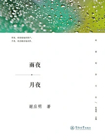 Rainy Night and Moonlit Night