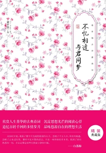 Never Remember Meeting and Dreaming with You (hardcover Collector's Edition)