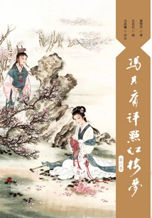 Feng Qiyong Comments on "a Dream of Red Mansions" (volume 2)