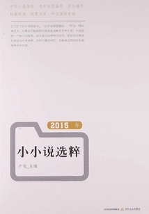 Selection of Short Novels in 2015