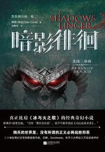 Black Mercenary Group (volume 2): Shadow Wandering