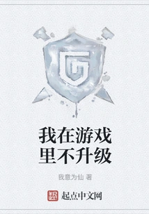 I Don't Upgrade in the Game