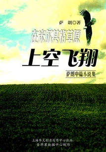 Flying over the Mirchige Grassland (sarang's Novella Collection)