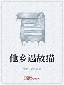 Meeting an Old Cat in a Foreign Land