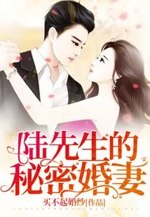 Mr. Lu's Secret Fiancée