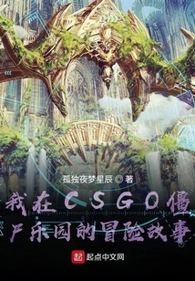 My Adventure Story in Csgo Zombieland