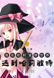 I Met Harry Potter in Harry Potter World