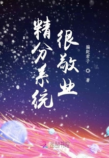 The Fine Points System is Very Dedicated