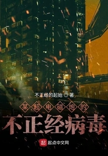 An Irregular Virus from a Certain Electromagnetic Gun