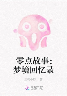 Zero Point Story: Memoirs of a Dream