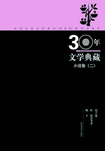 30 Years of Literary Collection Novel Volume (2)