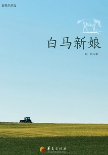 The White Horse Bride: Selected Works by Zhao Kai