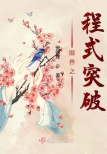 Program Breakthrough of Limits