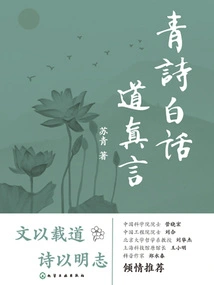 Qingshi Vernacular Truth
