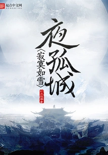 Lonely as a Lonely City on a Snowy Night