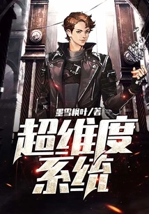 Hyperdimensional System