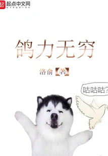 Pigeons Are Infinitely Powerful