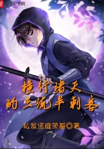 A Third-rate Semi-assassin Who Roams the World