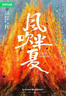 The Original Work of "wind Blowing Pinellia" (television Starring Zhao Liying and Ou Hao)