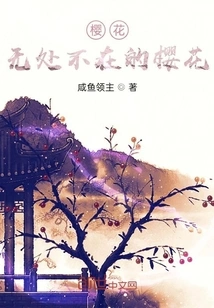 Sakura, Cherry Blossoms Everywhere