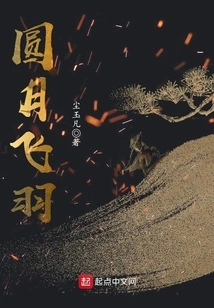 Full Moon Flying Feather