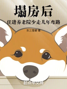 After the Collapse of the House, Living in a Nursing Home Will Save You a Few Years of Detours