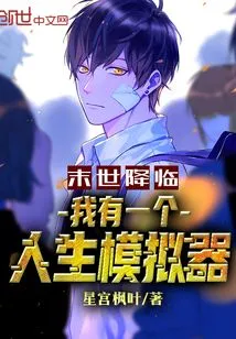 The End of the World is Coming: I Have a Life Simulator