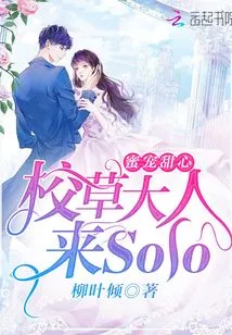 The School Boss Comes to Solo