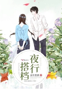 Night Walking Partner