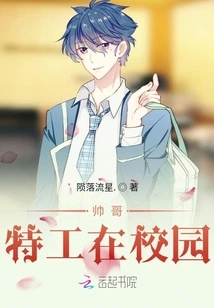 Handsome Agent on Campus