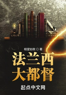 Grand Governor of France