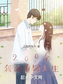 2008, My Remake of Life