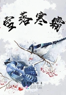 Snow Falls and Frost