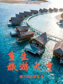 Travel Tycoon Reborn