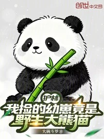 Forest Guard: the Cub I Picked up Was Actually a Wild Giant Panda