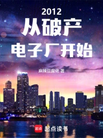 2012, Starting from Bankrupt Electronics Factory