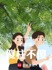 Siheyuan: Silly Pillars Are Not Stupid