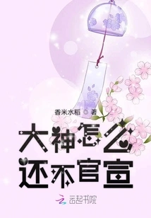 Why Hasn't it Been Officially Announced Yet?