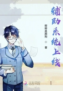 Auxiliary System Online