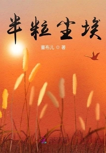 Half a Grain of Dust