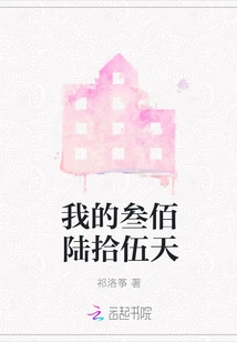 My Three Hundred and Fifty Days