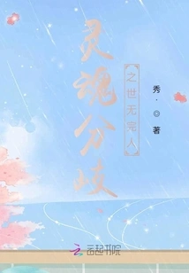 No One is Perfect in a World with Different Souls