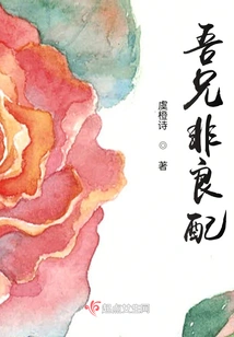 My Brother is Not a Good Match